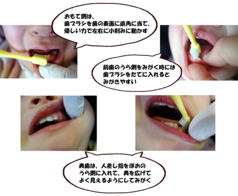 みがき方