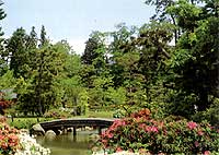 藤田記念庭園