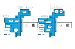5-6F