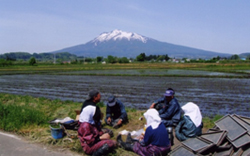 写真 弘前ならではの風景のあり方