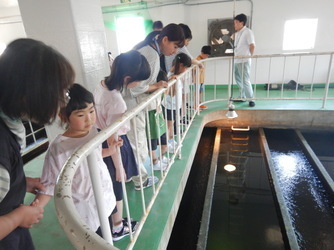 kenngaku3