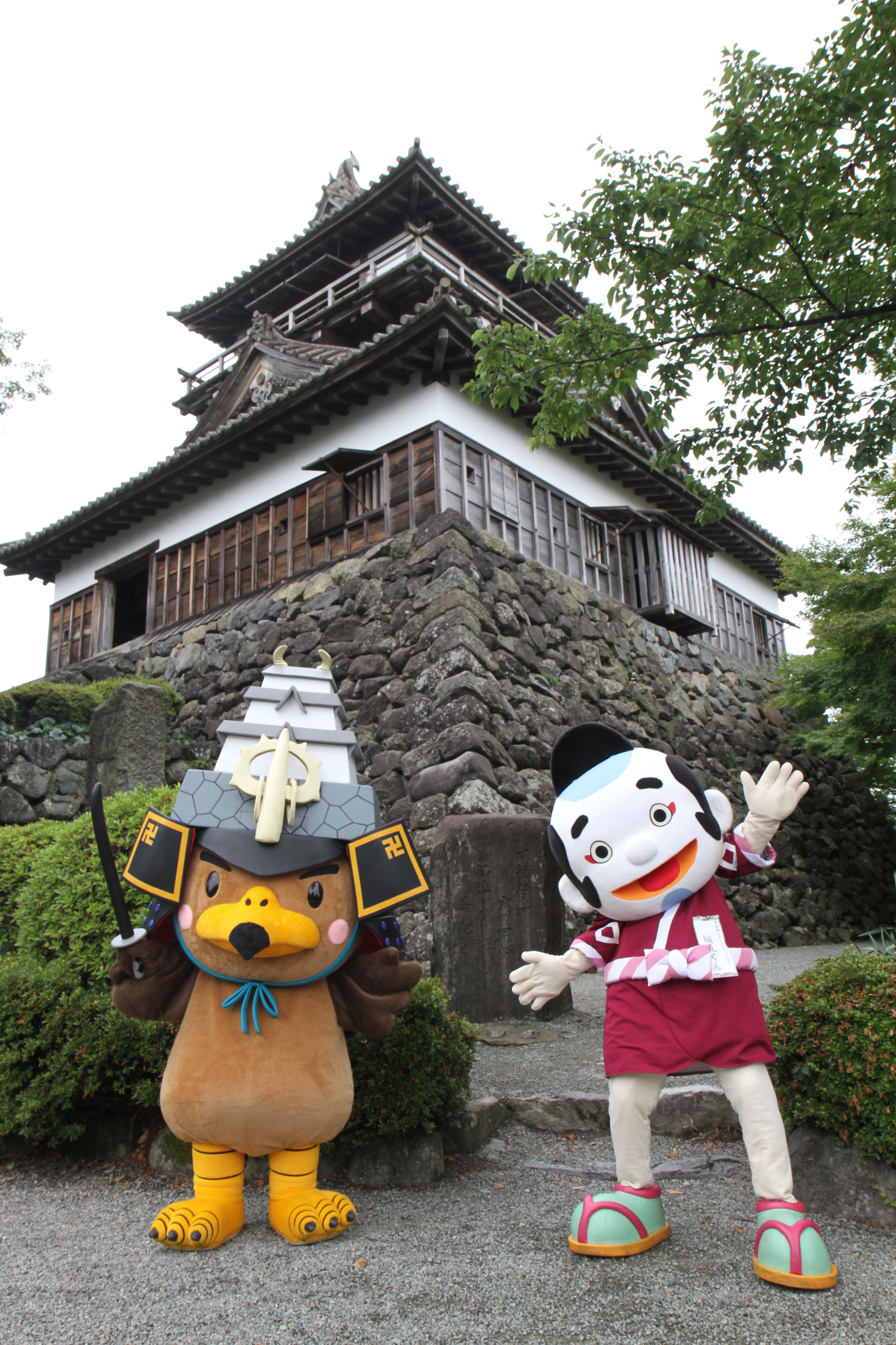 坂井市３