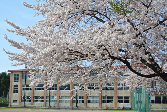 裾野中学校　春の校舎