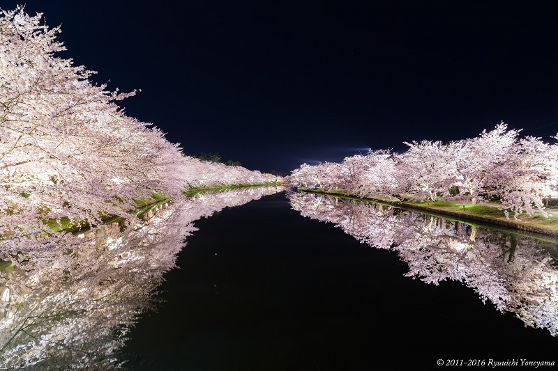 Sakuramatsuri_02