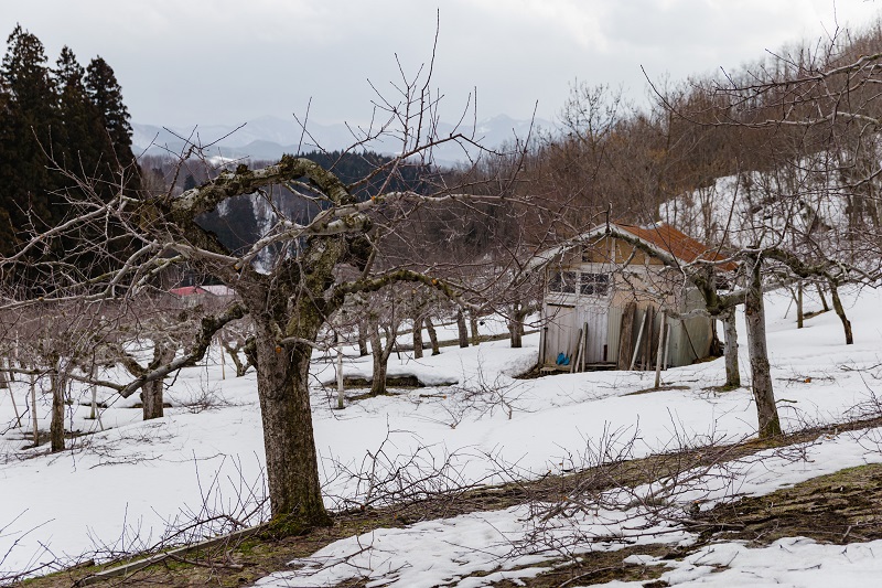 Kamisukizawa_EarlySpring