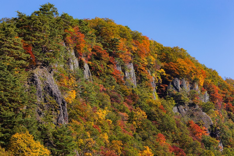 紅葉の屏風岩