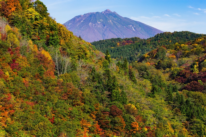 紅葉の奥に岩木山