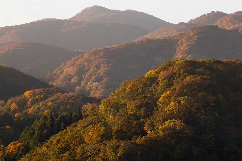 色づく山並みの朝